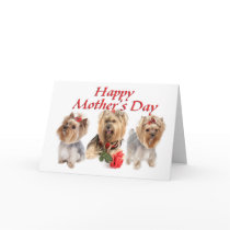 Mother Day Yorkies cards by friskybiz Mother Day Yorkies cards