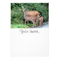 Mother Deer and Fawns Photo Custom Announcements