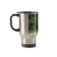 Mother Deer and Fawns Photo Mugs