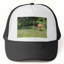 Mother Deer Feeds Her Babies Hats