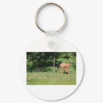 Mother Deer Feeds Her Babies keychains by upnorthpw Mother Deer Feeds Her Babies keychains