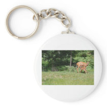 Mother Deer Feeds Her Babies Keychains