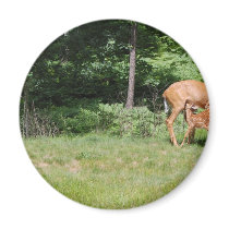 Mother Deer Feeds Her Babies magnets by upnorthpw Mother Deer Feeds Her Babies magnets