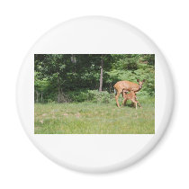 Mother Deer Feeds Her Babies magnets by upnorthpw Mother Deer Feeds Her Babies magnets