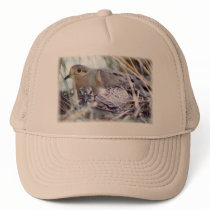 Mother Dove and Young Hat