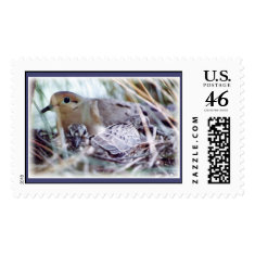 Mother Dove and Young Postage stamp
