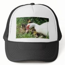 Mother Duck said Quack Quack Quack hats