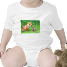 Mother fox and cub creeper