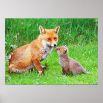 Mother fox and cub posters