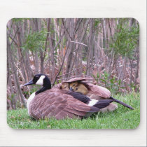 Mother Goose mousepad by toots1 Mother Goose mousepad