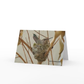 Mother Hummingbird - Card card