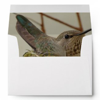 Mother Hummingbird Envelope envelope
