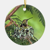 Mother Hummingbird on Nest Christmas Ornaments