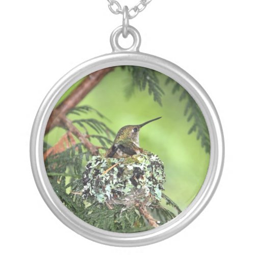 Mother Hummingbird on Nest Custom Jewelry
