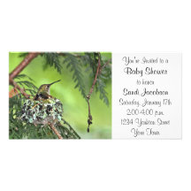 Mother Hummingbird on Nest Photo Cards