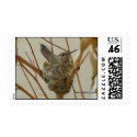 Mother Hummingbird Postage Stamp stamp