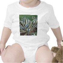 Mother in Law tongue Tropical plant baby t sfirt t-shirts