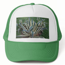 Mother in Law tongue Tropical plant hat by Fivestar12 Mother in Law tongue Tropical plant hat