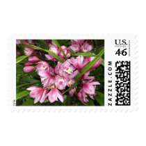 Mother Love Orchid Postage postage