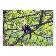 Mother Monkey and Baby in Jungle Card