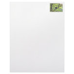 Mother Monkey and Baby in Jungle Personalized Letterhead