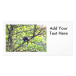 Mother Monkey and Baby in Jungle Photo Card Template
