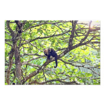 Mother Monkey and Baby in Jungle Art Photo