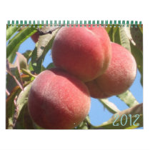 Mother Nature's Fruits Wall Calendar