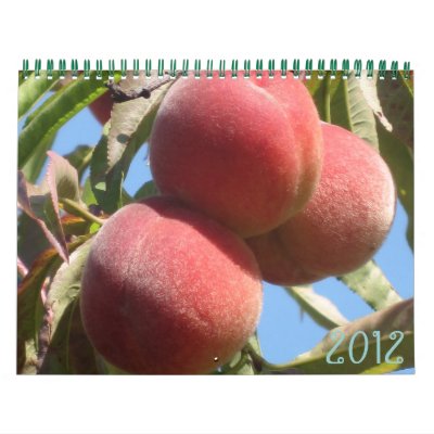 Mother Nature's Fruits Wall Calendar Mother Nature's Fruits Wall Calendar