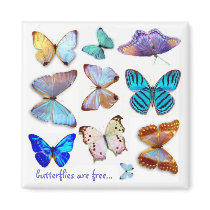 Mother of Pearl Butterflies Magnet by S Ambrose
