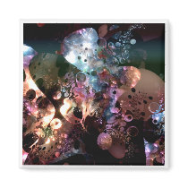 Mother of Pearl magnets