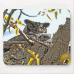 Mother Owl and Baby in Nest Mouse Pad