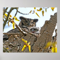 Mother Owl and Baby in Nest Poster