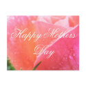 Mother postcards