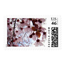 MOTHER’S DAY Blossoms 5 Gifts Cards Mom Mothers postage by Basleeartprintgifts MOTHER’S DAY Blossoms 5 Gifts Cards Mom Mothers postage