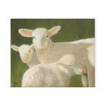 Mother Sheep Gallery Wrapped Canvas