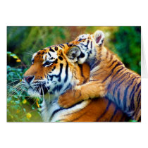 Mother Tiger with Baby Cub Climbing and Biting Ear Cards