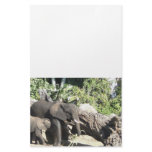 Mother with Baby Elephant Custom Stationery