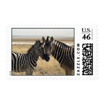 Mother zebra and young zebra postage stamp