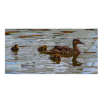 motherduck posters