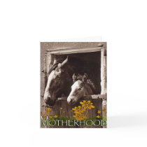 Motherhood Cards