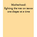 Motherhood:fighting the war on terror one diape... t-shirts