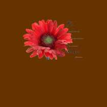 Mothers are Special Red Gerber Daisy Shirt
