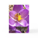 Mothers Day 30 ~ card by Andy2302 Mothers Day 30 ~ card