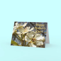 Mother's Day Blooms cards