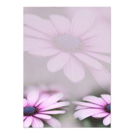 Mother's Day Brunch Daisy Invitation