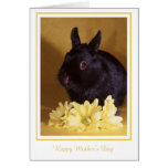 Mother's Day - Bunny and Daisies Greeting Card