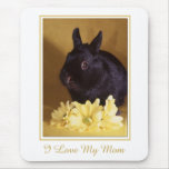 Mother's Day - Bunny and Daisies Mousepad