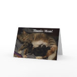 Mothers Day Card