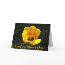 Mother's Day
